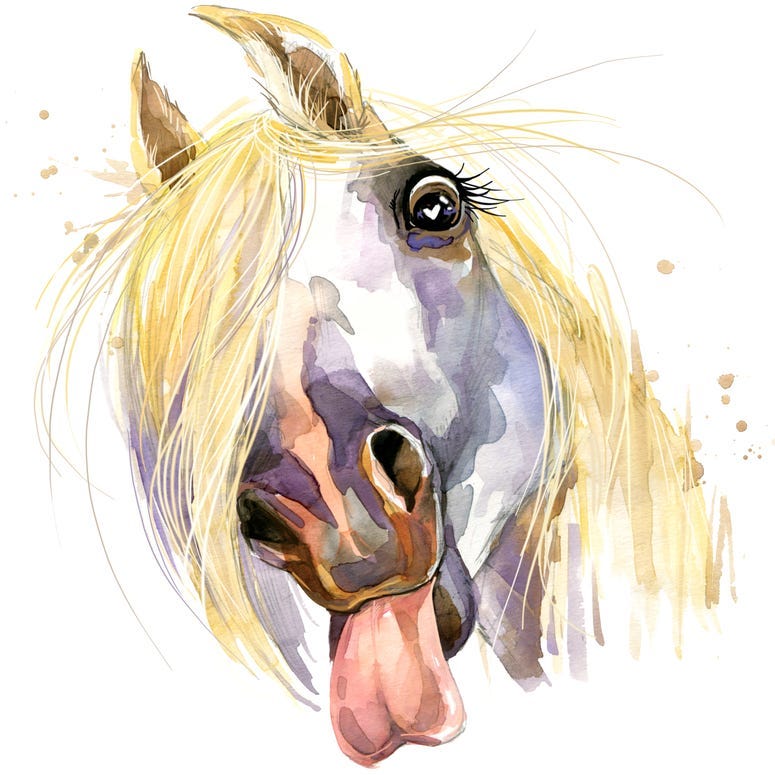 White horse kiss T-shirt graphics. horse illustration with splash watercolor textured background.