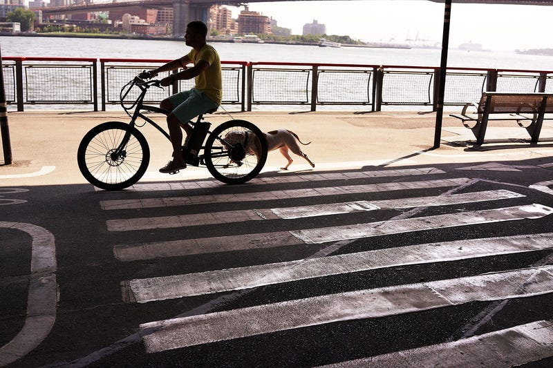 East River Park, Manhattan