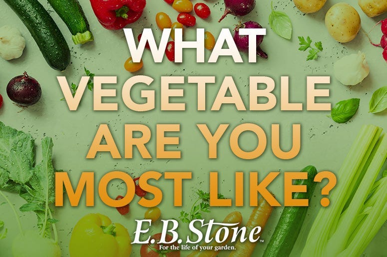 E.B. Stone