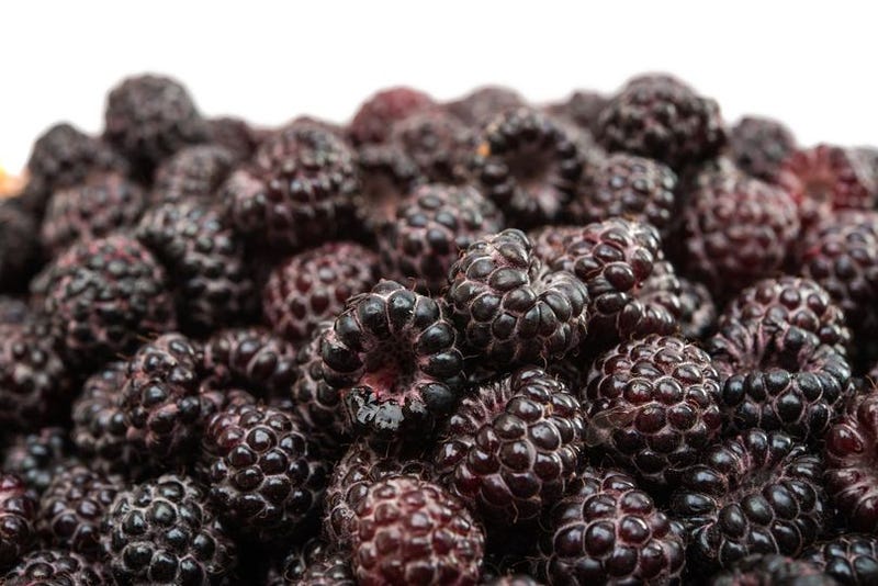 Black raspberry