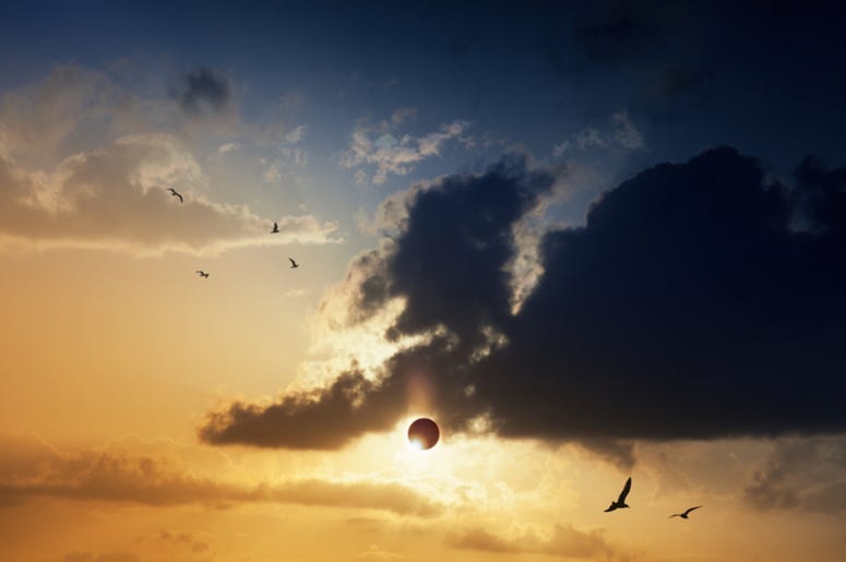 Eclipse