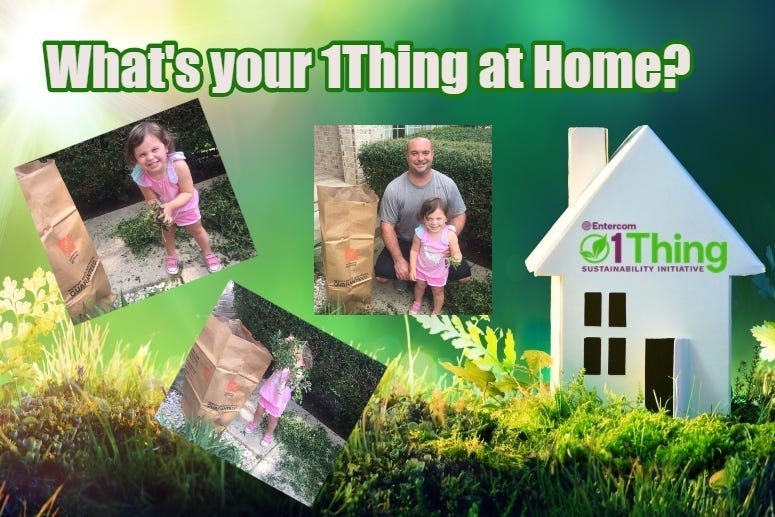 Eco Friendly Home Roml Getty Images / Natalie family yardwork 2020