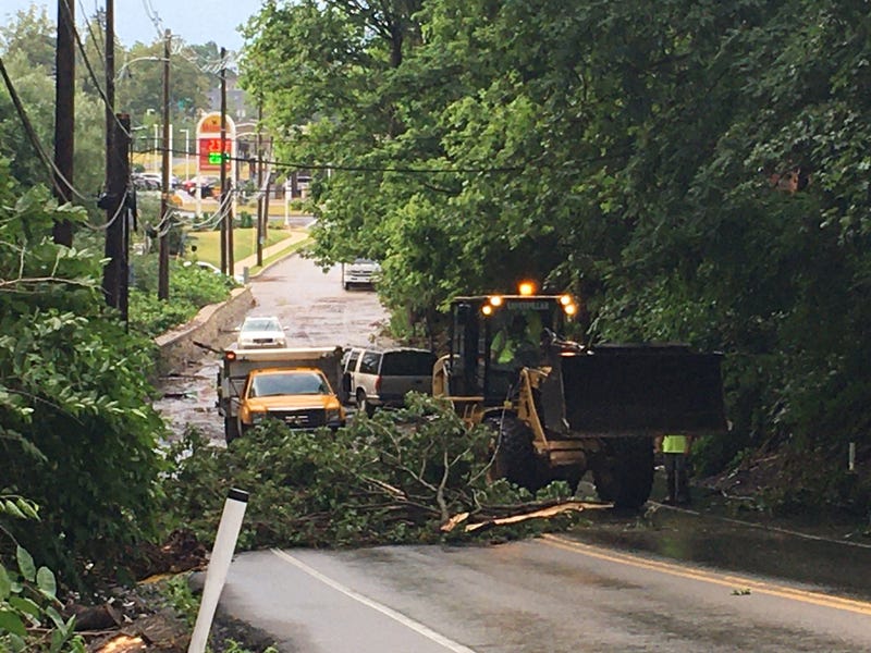 A downed tree on Limekiln Pike and Clubhouse Lane where flash flooding hit