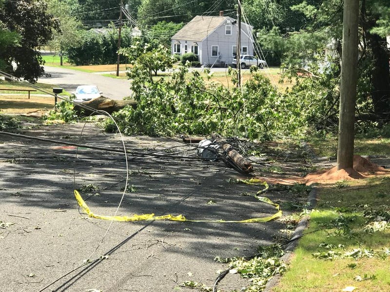 Isaias damage in Connecticut