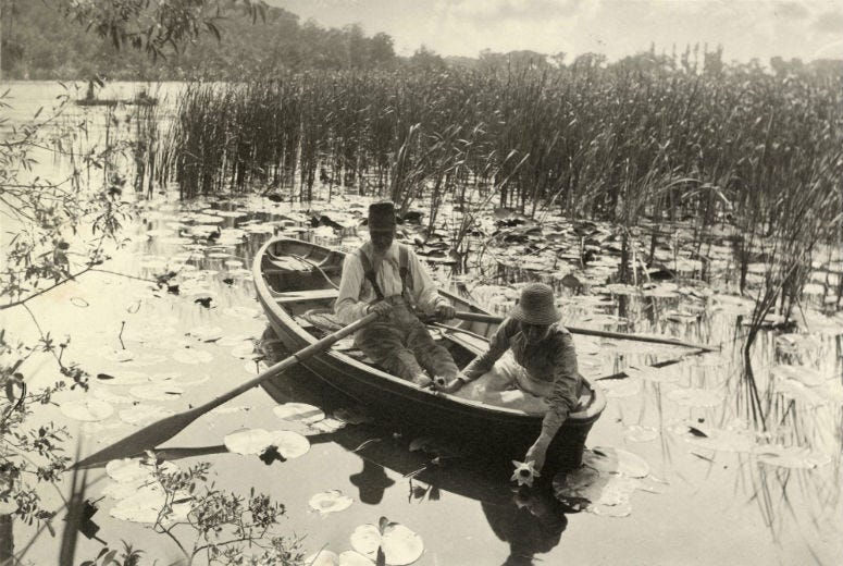 emerson photo