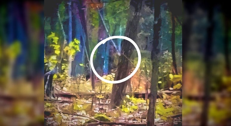 Did Marine veteran Billy Humphrey capture Bigfoot in this photograph?