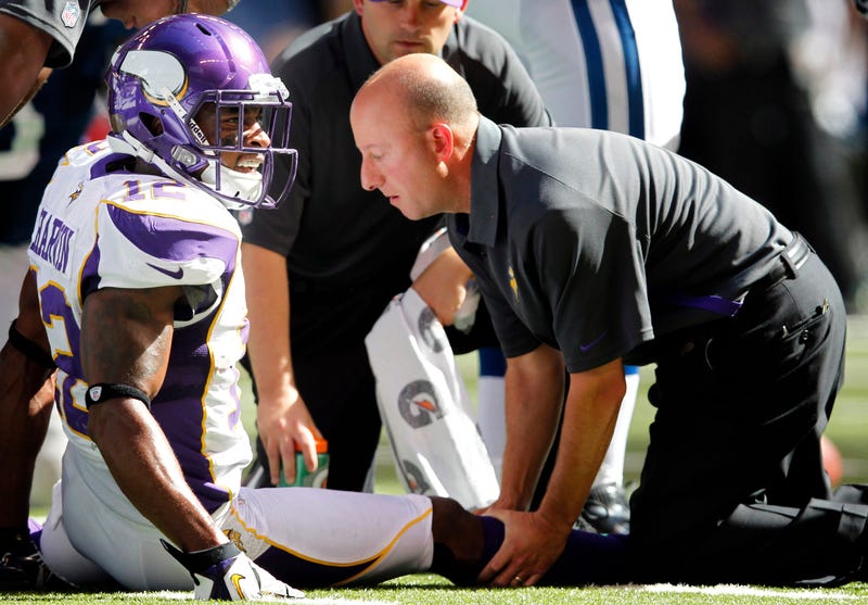 Eric Sugarman, Viking Trainer