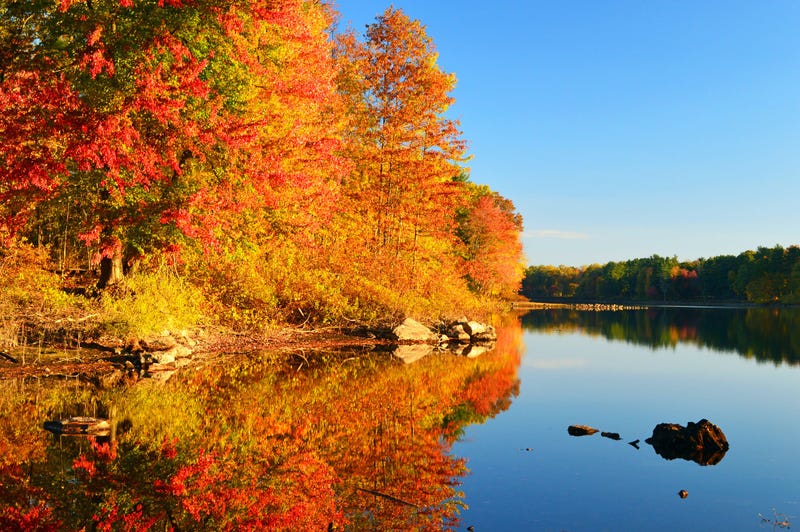 Red and orange trees along the river