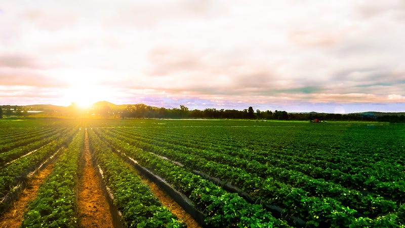 Farming