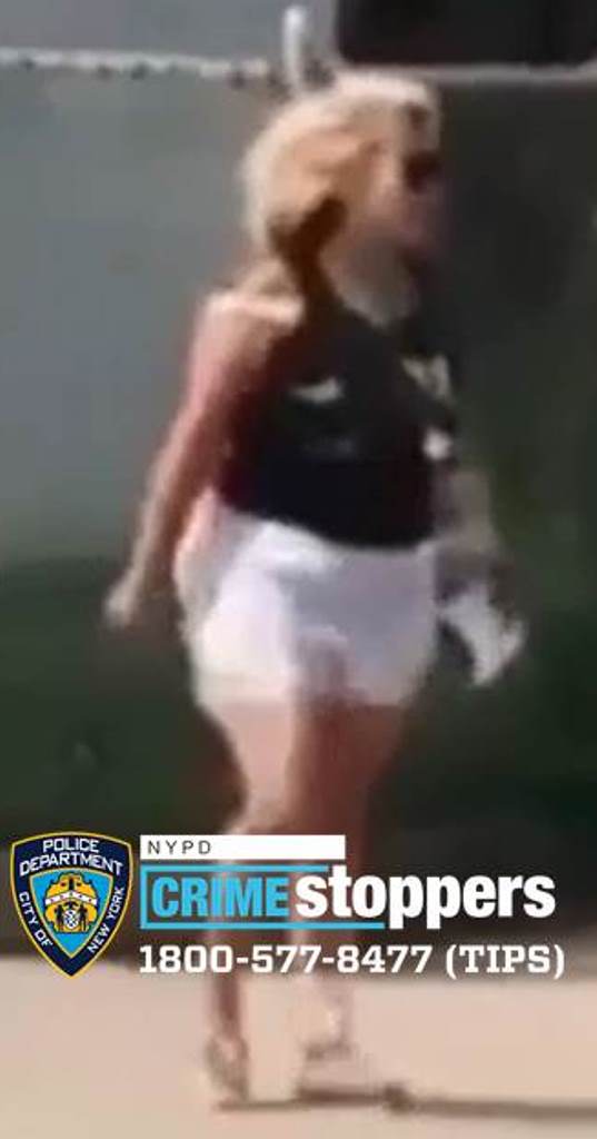 Jogger attacked in Queens