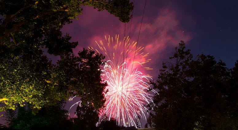 Pink Fireworks Light Up the Night Sky Between Silhouettes of Tree Branches
