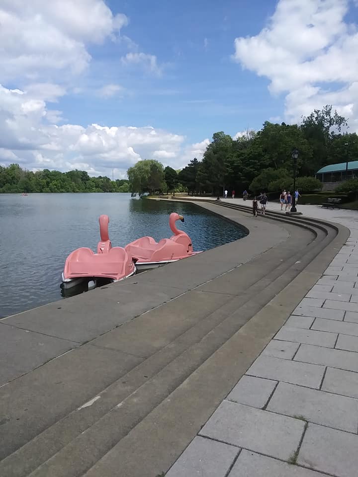 FLOATmingo paddle boats at Hoyt Lake in Buffalo