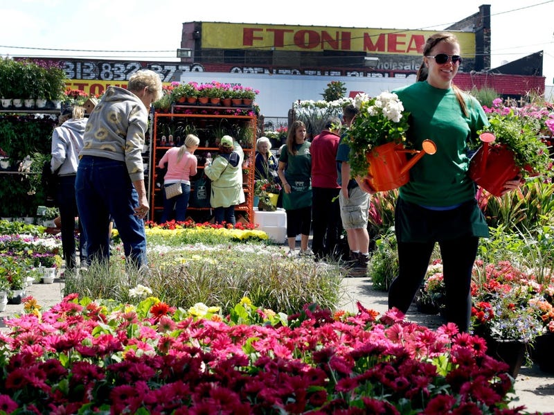 Images of Detroit are deeply rooted within the automotive industry; it's a working class city known for sparks, steel and grit, but in a historic corner of the city, colorful petals, vivid blooms and greenery make up an amazing transformation for Flower Day.