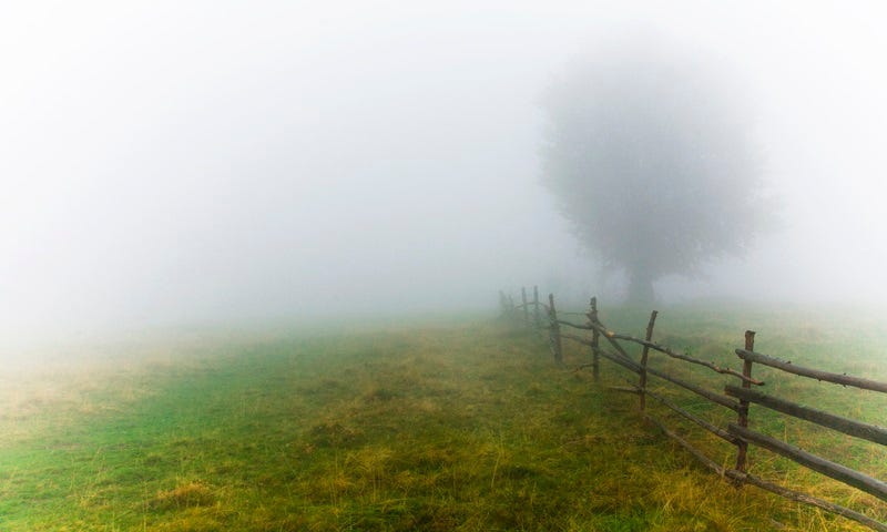 fog