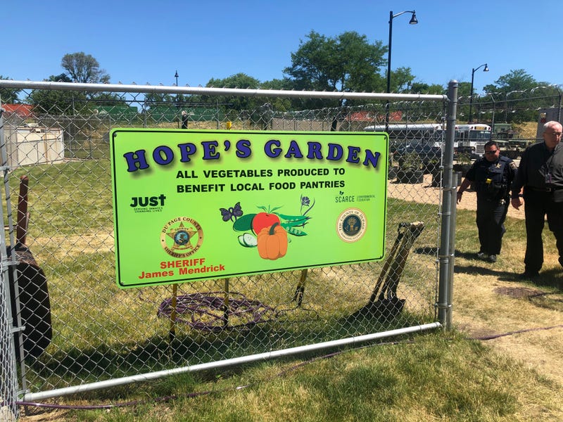 Hope's Garden