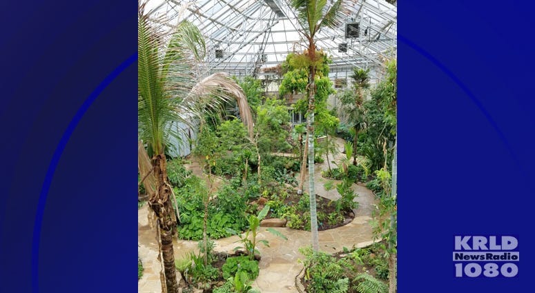 Fort Worth Botanic Garden Rainforest Conservatory
