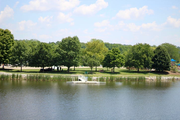 A hot and humid sunny summertime day at the lake in the park.