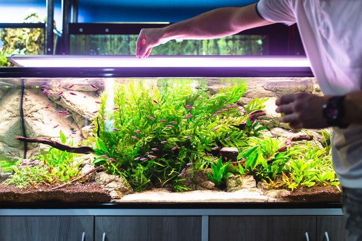 Fish tank.