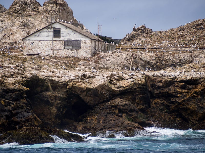 A view of a weather-beaten building on the Farallon Islands off the coast of California.