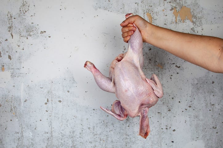 Raw chicken in female hand on gray wall background