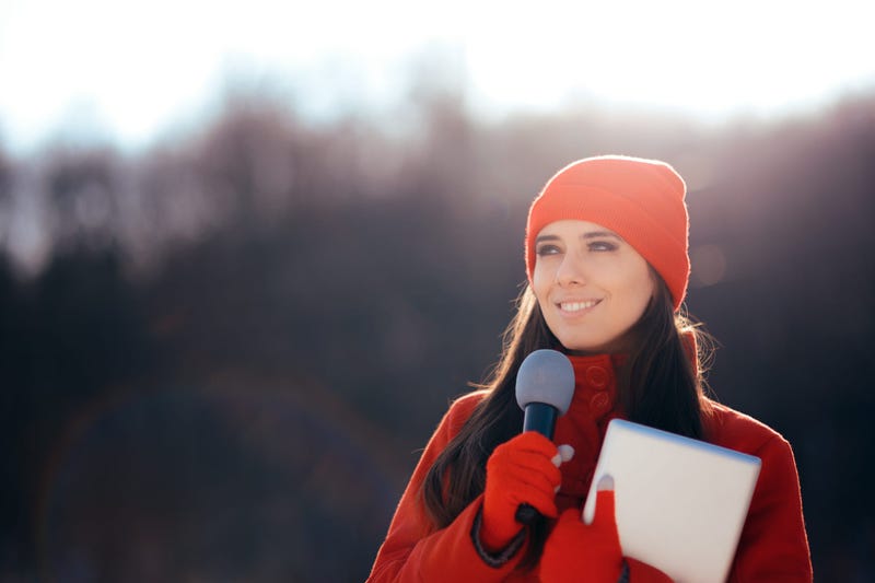 TV Reporter