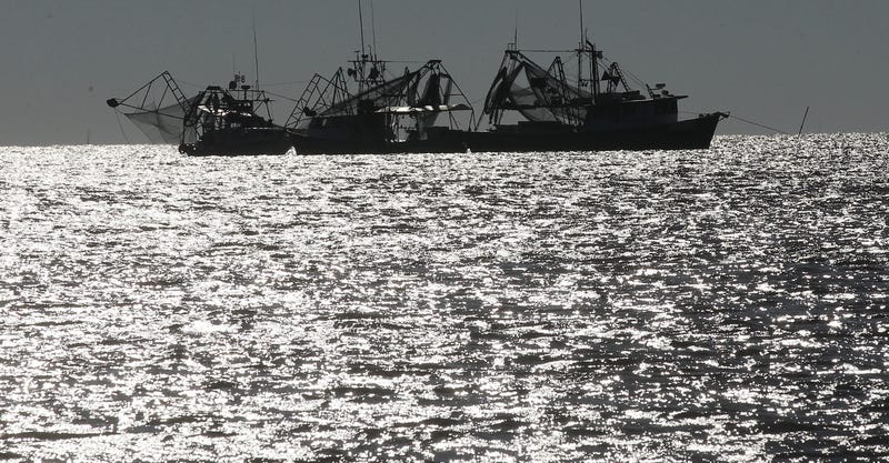 Gulf of Mexico