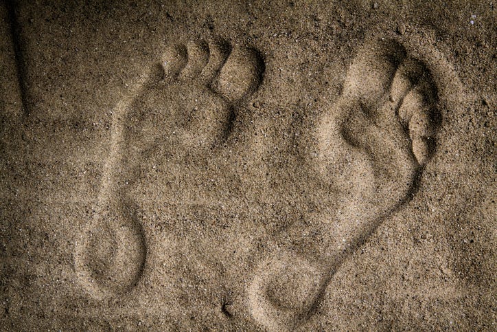 Feet In Dirt
