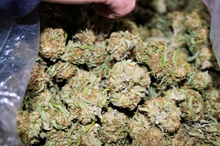 Marijuana