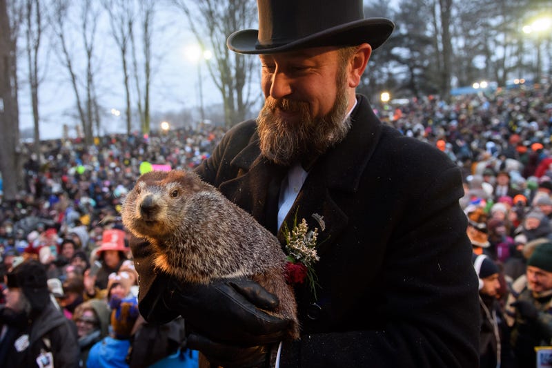 Punxsutawney Phil