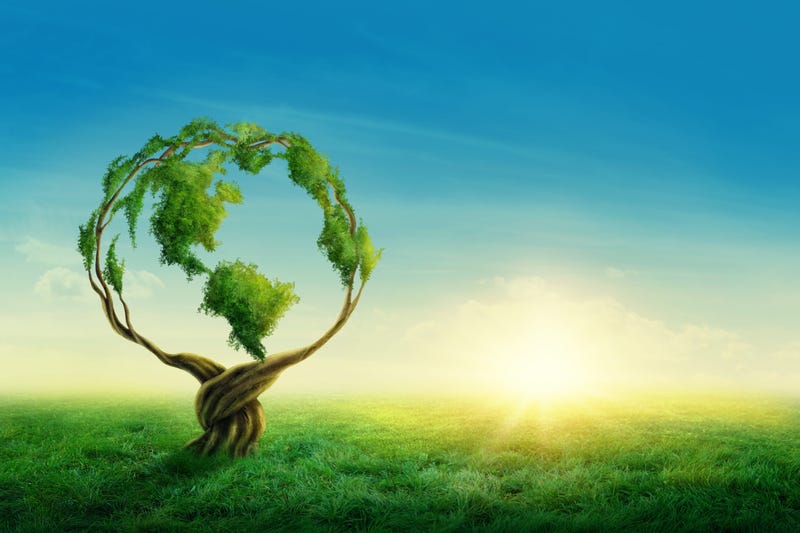 Earth Day 2020