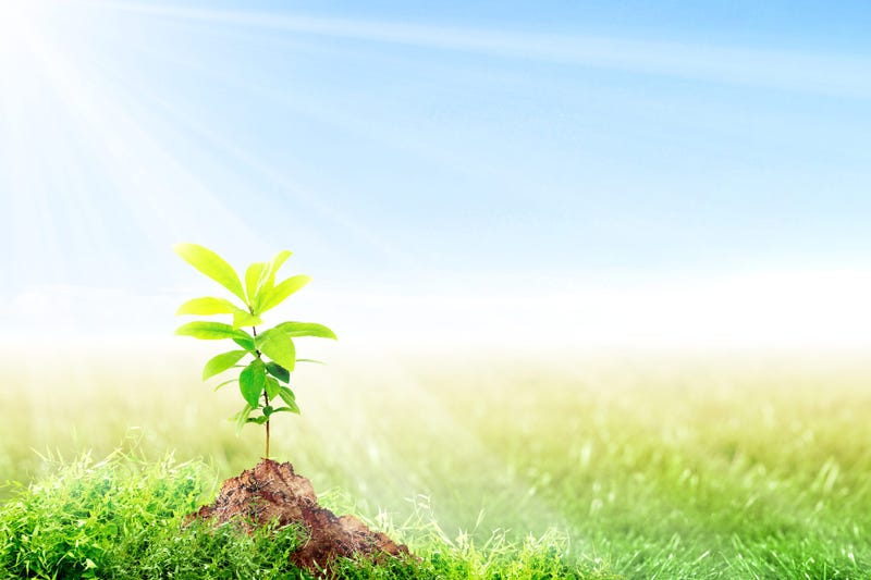 Earth Day