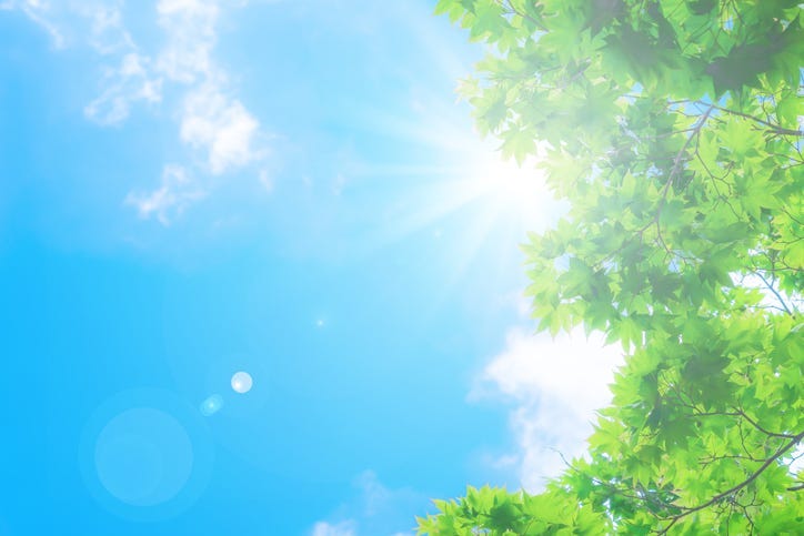 Sunshine