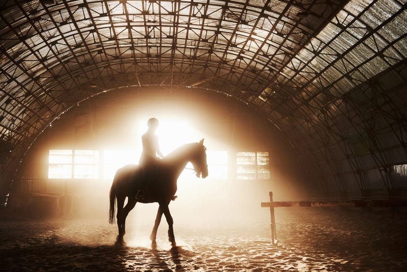 Guy Riding A Horse