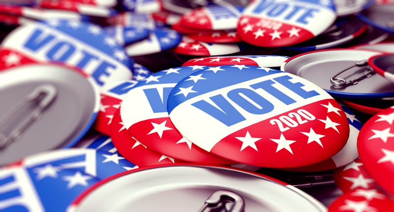 Vote 2020 Buttons