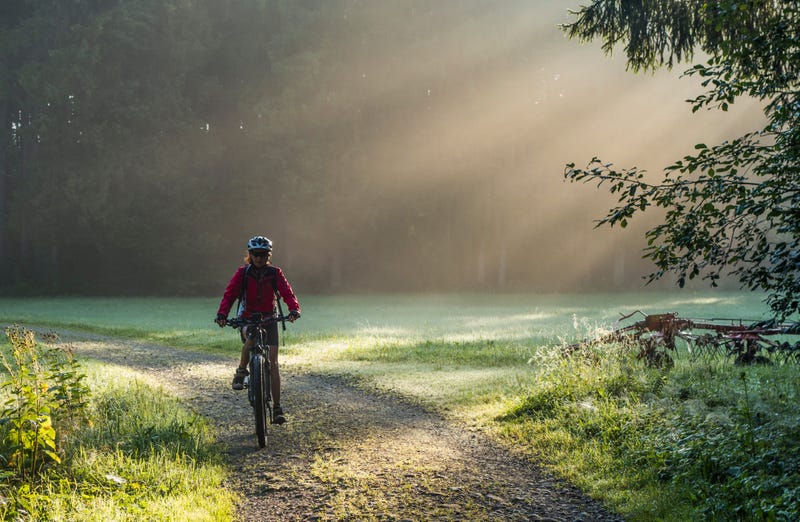 A woman rides an e-bike along a nature trail