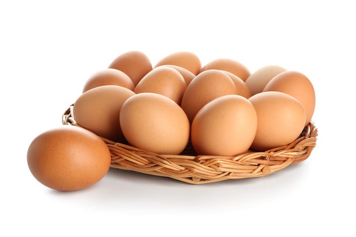 Egg