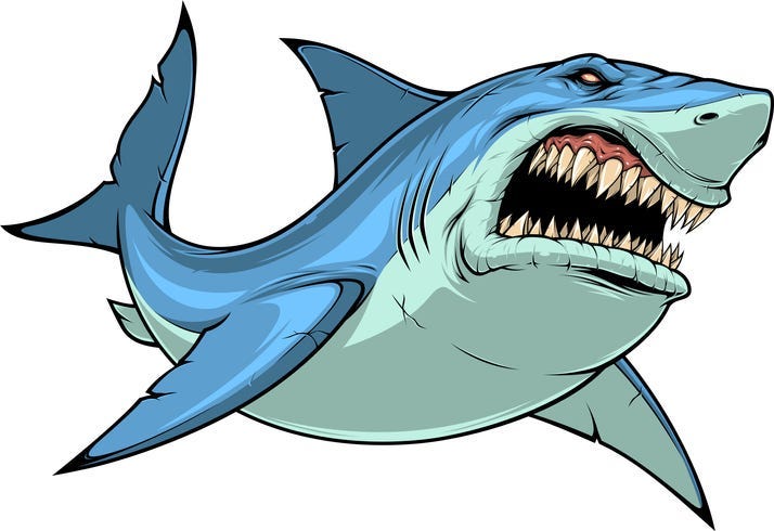 shark