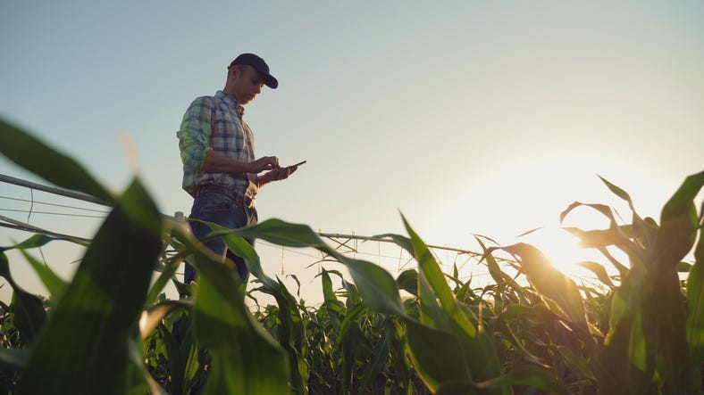 Rural Farmer