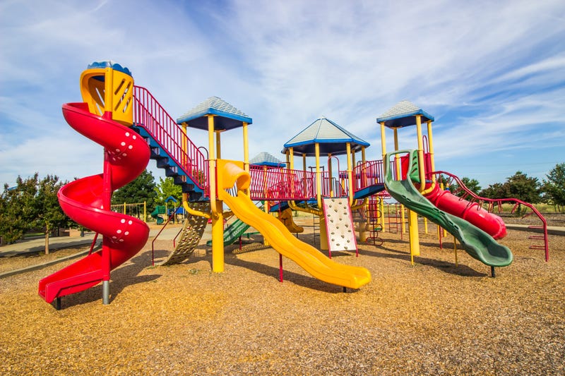 Jungle Gym