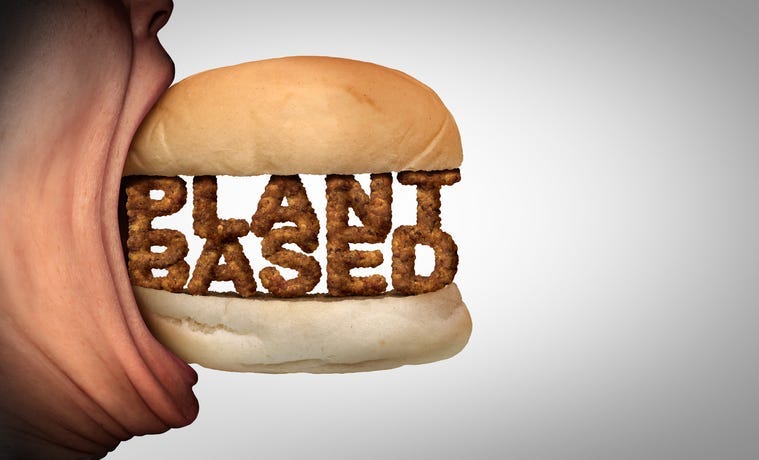 Plant based burger