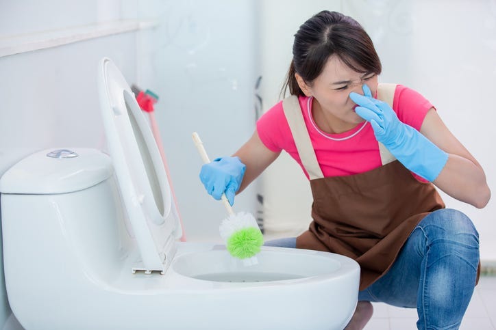 Woman cleaning the toilet