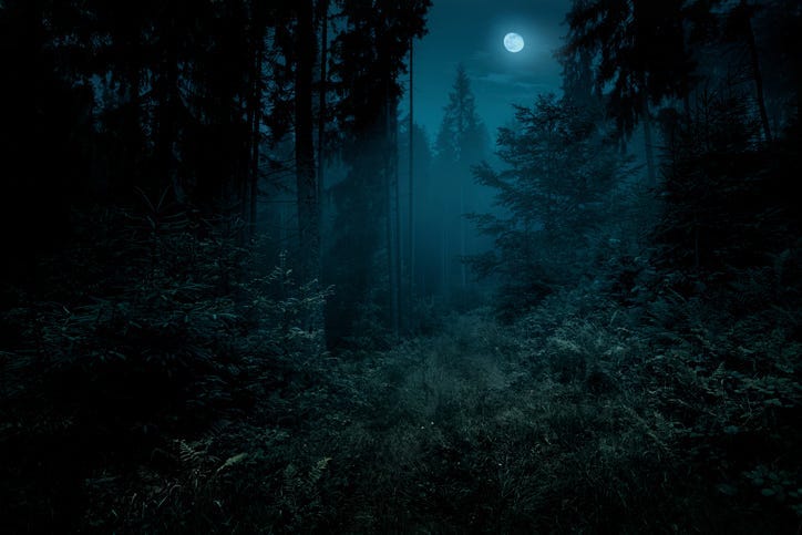 woods