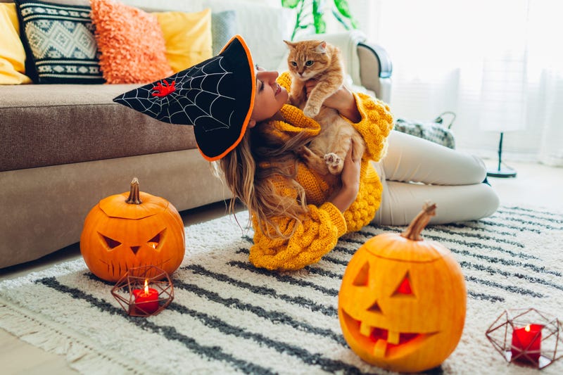 Halloween jack-o-lantern pumpkins. Woman in hat playing with cat lying on carpet at home decorated with pumpkins and candles.