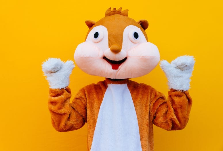 Squirrel, Costume, Paws Up, Orange Background