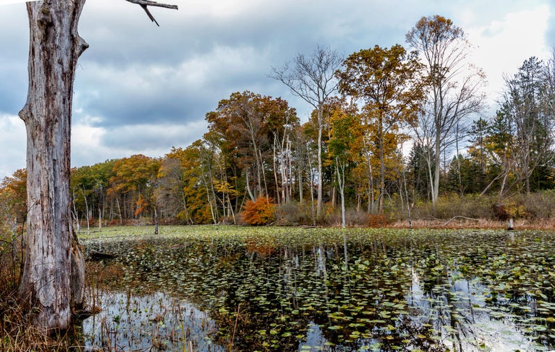 cleveland metroparks
