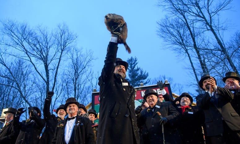 Punxsutawney Phil