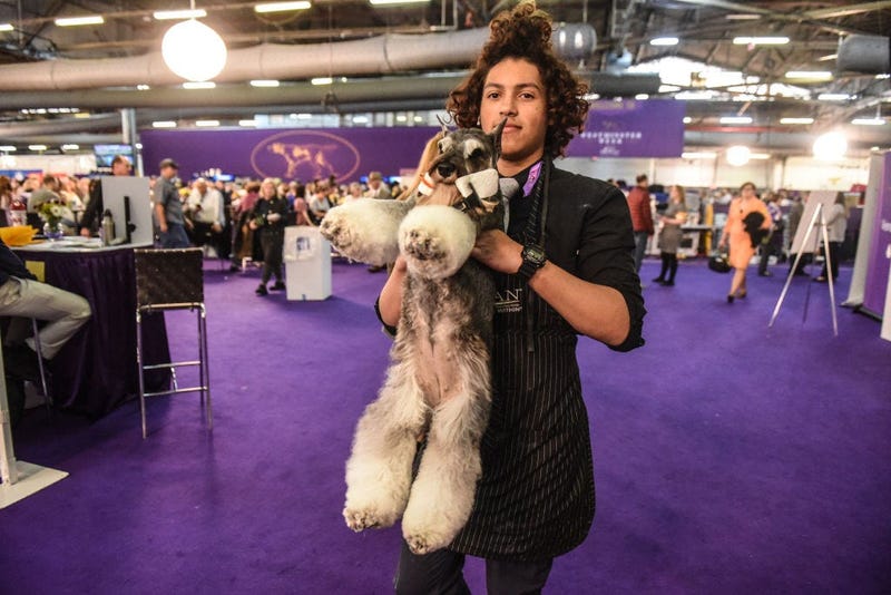 144th annual Westminster Kennel Club Dog Show