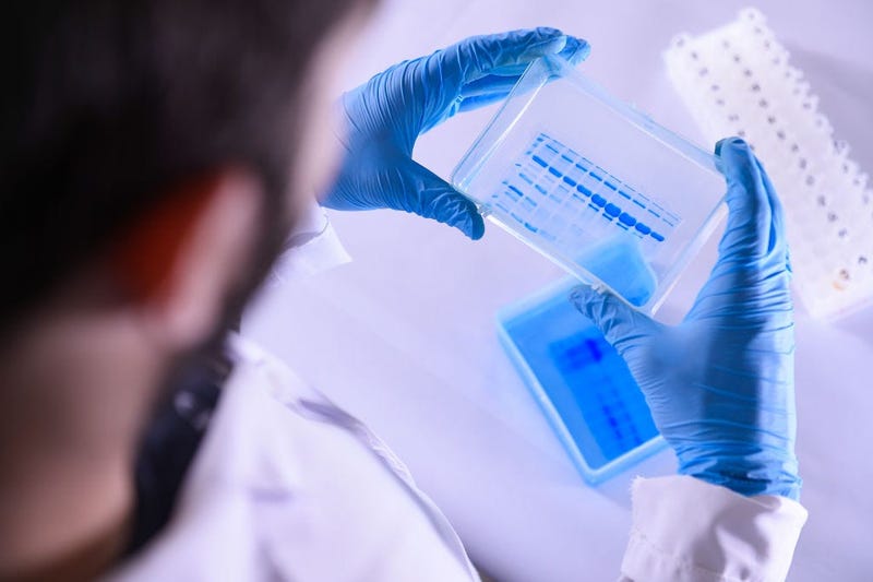 coronavirus, test, cure