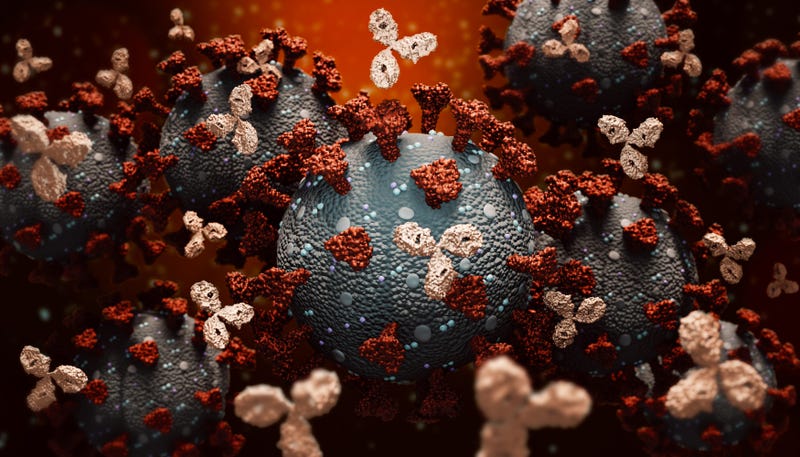 Coronavirus daily update