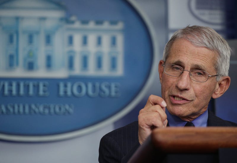 Dr. Anthony Fauci, director of the National Institute of Allergy and Infectious Diseases, speaks during the daily briefing of the White House Coronavirus Task Force, at the White House April 17, 2020 in Washington, DC.